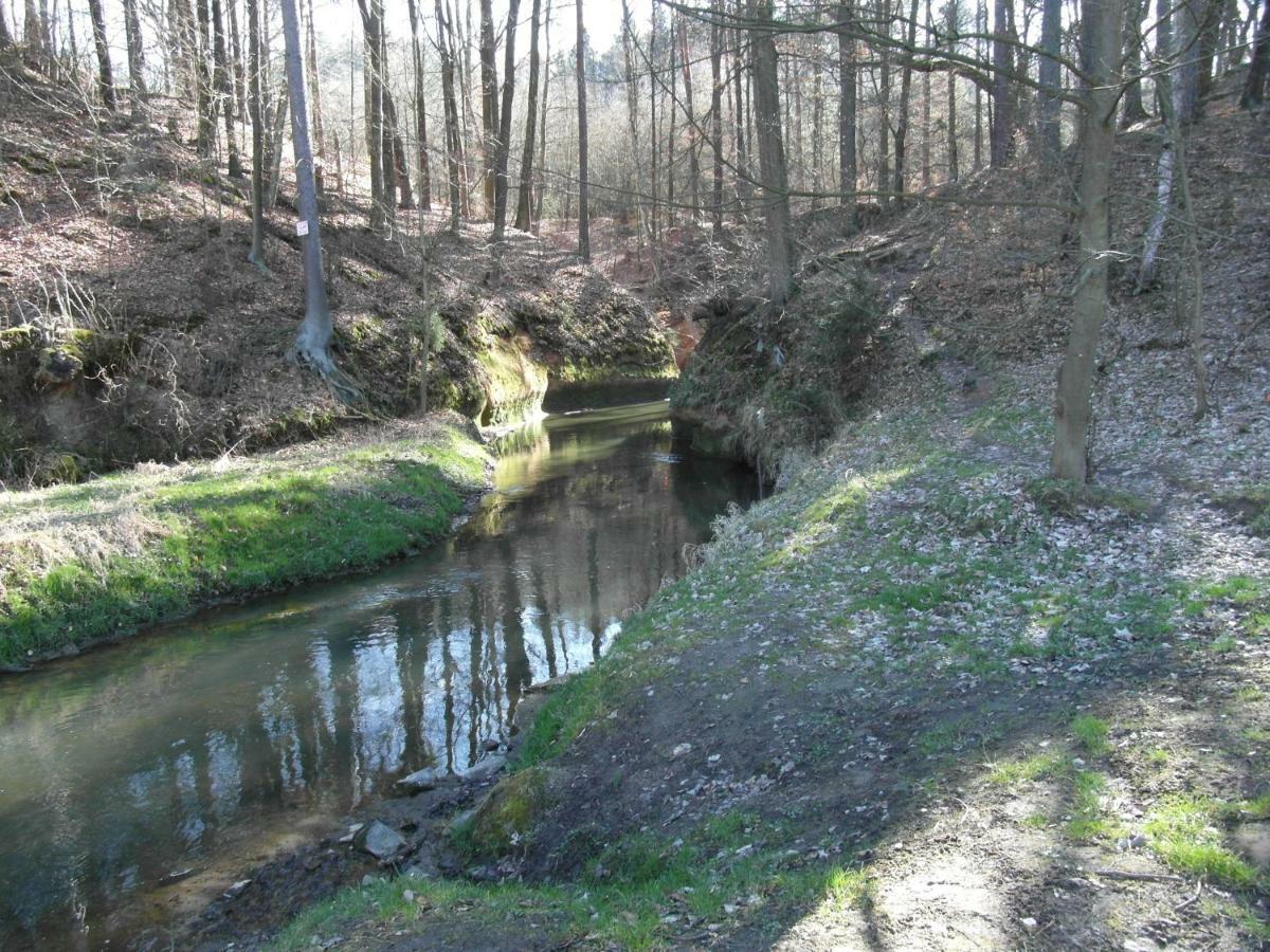 Roubenka Nad Rekou Villa Noviny pod Ralskem Екстериор снимка